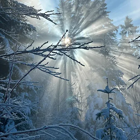 Lesna Przystan Gorce