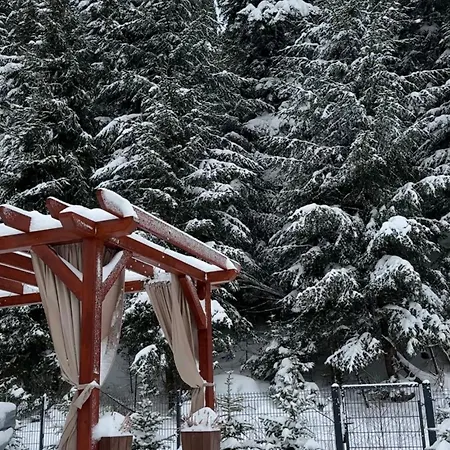 Lägenhet Lesna Przystan Gorce