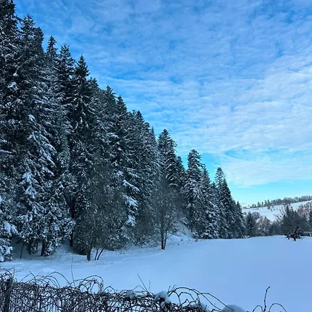 Lägenhet Lesna Przystan Gorce *