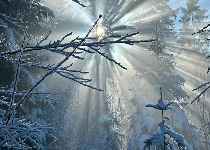 Lesna Przystan Gorce