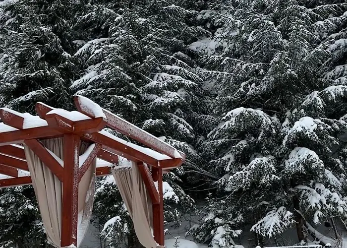 Apartmán Lesna Przystan Gorce