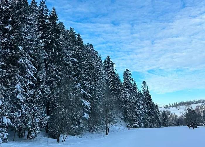 Apartmán Lesna Przystan Gorce *